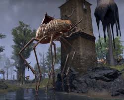Image result for Silt Strider
