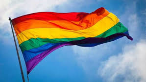 Esta fecha se considera el día internacional del orgullo lgbti. Jdoexrddjhseqm