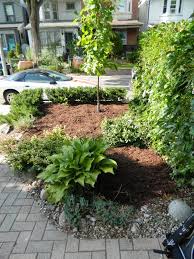 We are very pleased with our beautiful new yard. Leslieville Front Yard Garden Cleanup After By Paul Jung Gardening Services Toronto This Typical Small City Front Front Yard Garden Front Yard Front Garden