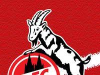Fc köln wallpaper app ist für fans dieser fußballmannschaft. 1 Fc Koln