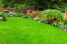We did not find results for: Denton High Quality Fencing Landscaping Coffey S