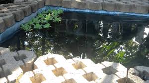 Kolam Minimalis Bening Depan Rumah Youtube