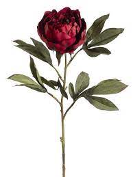Maybe you would like to learn more about one of these? Burgundy Silk Peony Stem Beautiful Flowers Wedding Flower Arrangements Wedding Flower Arrangements Fall