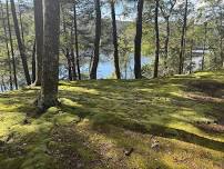 Garden Wellness: Forest Bathing with Fru Molnar