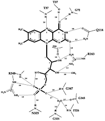 Image result for Yellow 1990 Thiele Inc