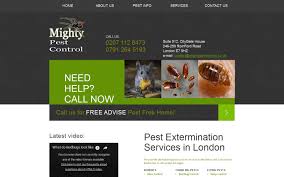 24/7 call out professional pest control services in london. Mighty Pest Control Ltd London London E7 8be