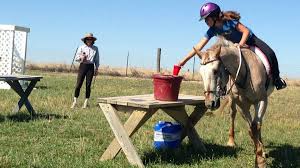 Kaizen Farm develops students' love of horses