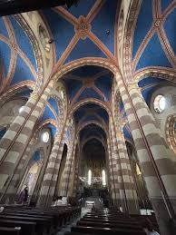 Image result for Harveya alba