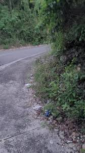 Dear MP Fayval Williams, it's URGENT! 🆘🔊 Address this matter swiftly to  ensure our residents' safety. 🚶‍♀️🚗 Let's work together to make a  difference! 🤝👍 With gratitude, Andre Hylton, Chairman of ESA ...