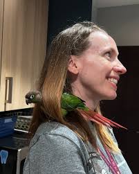 Parakeet with police vest to help Fuquay-Varina officers catch 'bad seeds,'  connect with community