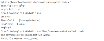 Ncert Solutions For Class 10 Maths Chapter 1 Real Numbers Ex 1 3 Maths Ncert Solutions Math Fundamental Theorem Of Arithmetic