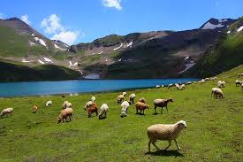 Image result for beautiful places in pakistan
