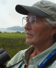 Florida Birding & Nature Festival