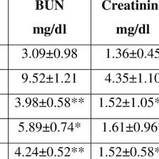 Image result for Indigofera wituensis