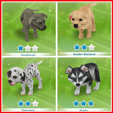 While the usual 'pets' pack will not include horses this time around, it does attempt to bring loads of detail to the two featured pet types. The Sims Freeplay Guide To Pets The Girl Who Games