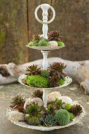 Deko idee für draußen mit hauswurz / sukkulenten. Deko Sukkulenten Mit Bildern Pflanzen Blumengestecke Garten Deko