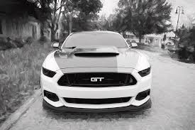 Ford motor company limited uses cookies and similar technologies on this website to improve your online experience and to show tailored advertising to you. 2017 Ford Gt Mustang 5 0 Photograph By Rich Franco