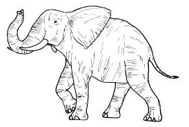 It doesn't really matter if you prefer wild and dangerous creatures such as mighty lion, snake, tiger, polar bears, coyote, jaguar, sneaky fox. Wild Animal Coloring Pages Best Coloring Pages For Kids