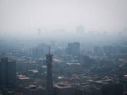 Es importante recordar que, aunque se haya suspendido la contingencia extraordinaria, esto no significa que no pueda regresar en cualquier. Activan Fase 1 De Contingencia Ambiental En Cdmx