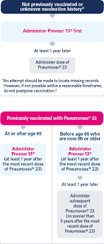 Washington — the centers for disease control and prevention (cdc) unveiled updated guidelines on tuesday detailing activities that vaccinated people can safely resume, including attending small. Safety Info Prevnar 13 Pneumococcal 13 Valent Conjugate Vaccine Diphtheria Crm197 Protein Cdc S Acip Adult Recommendations For Prevnar 13