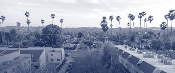Image result for Reseda