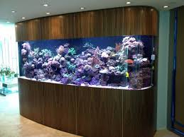30 Incredibly Awesome Ideas To Beautify Your Home With Aquariums Custom Aquarium Fish Tank Aquarium