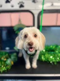 Not mine, but had to share 🤣 so cute!