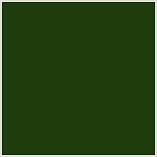 Free for commercial use no attribution required high quality images. 1f3d0c Hex Color Rgb 31 61 12 Deep Forest Green Green