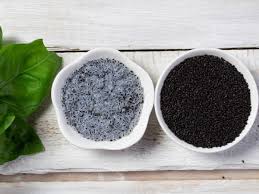 Chia Vs Sabja Seeds How Are They Different The Times Of India