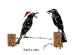 Pin On Corvids