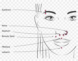 facial piercing chart smiley piercing banana bar hd png