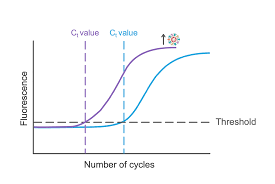 How Is Rt Pcr Used To Test For Covid 19 Medmastery