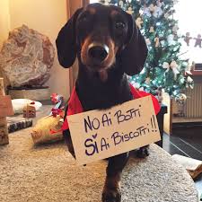 No ai botti si ai biscotti. No Ai Botti Si Ai Biscotti Buon Natale Depop