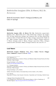 Image result for Bothriocline longipes