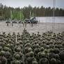 Sweden and Finland Strengthen NATO's Forward Land Forces to Bolster Northern Defense