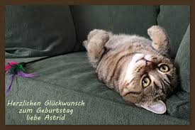 Besten bilder, videos und sprüche und es kommen täglich neue lustige facebook bilder auf debeste.de. Happy Birthday Liebe Astrid Foto Bild Tiere Haustiere Katzen Bilder Auf Fotocommunity