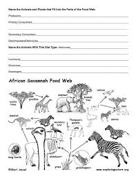 Facts 1 Life Science Identify Producers Consumers Decomposers Life Food Web Science Lessons Science Education