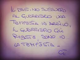 Numa tempesta to obracający milionami przedsiębiorca, który zostaje skazany na prace socjalne za niepłacenie podatków. Adotta Un Petdesigner Il Destino Sussurra Al Guerriero Una Tempesta In