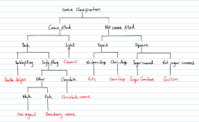 Year 7 Myp 2 Cookie Classification Dichotomous Key Taxonomy Worksheet Tree Forest