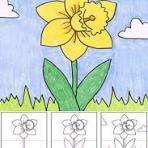Easy How to Draw a Daffodil Tutorial Video and Daffodil ...