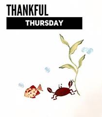 Thursday meme:thursdays come with mixed feelings,it's the fourth day of the week it is a prequel to a good day,thursday is thursday is named after thor, you are relieved that the weekend is near in a day and exhausted too after 4 working days.the best things today are memes, which are funny and. 95 Joyfully Funny Thursday Memes For Dump A Day Explorepic