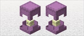 They hide in their shell to blend in with surrounding purpur blocks and guard the city's various treasures. Minecraft S Shulkers A Mob In A Box