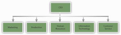 Organizational Structure And Change