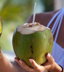Although coconut water/juice has long been enjoyed in tropical regions, it has only recently become all the rage in the us. Is Coconut Water Good For Weight Loss