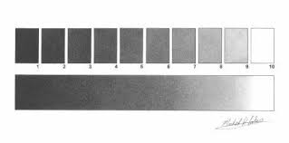 Value Grayscale Exercises Classical Fine Art And Illustration Art Basics Art Room Rules Elements Of Art