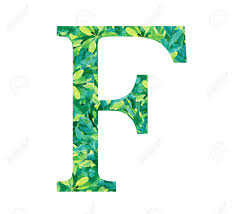 Seeking typographic inspiration for your next logo? Pattern Inside The Letter F Alphabet Symbol With Tropical Leaves Jungle Composition Hand Drawn Illustration Elegant Green Template Isolated On White Background Stock Photo Picture And Royalty Free Image Image 147677945