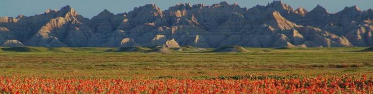 Home | Nebraska National Forests and Grasslands | Forest Service