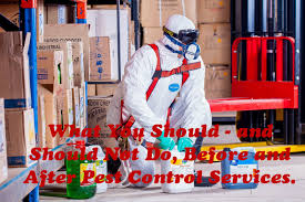This video will show you how! What You Should And Should Not Do Before And After Pest Control Services