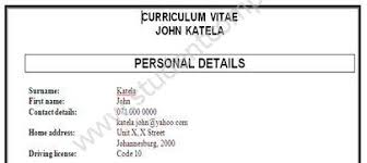 Africa examples cv 2018 download south. Professional Cv Writing Service South Africa South African Cv Format 2020 Pdf Download Template Example