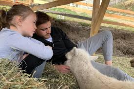 ― george orwell, animal farm. Animals On The Farm The Colorful World Of The Birkenhof Farm In Meransen